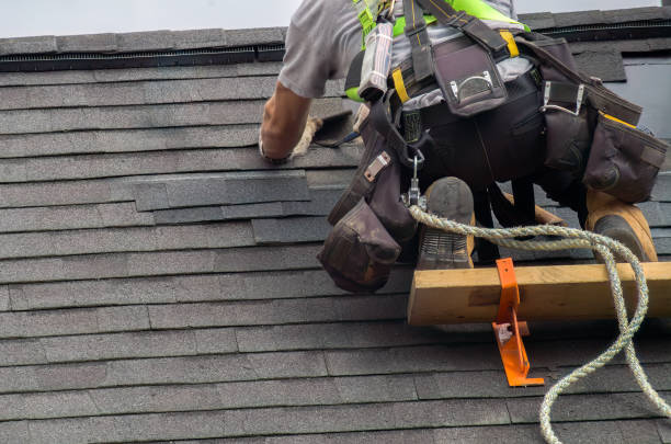 Best Roof Gutter Cleaning  in Old Jefferson, LA